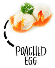 poached egg